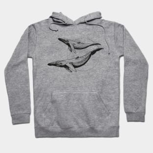 Whales Hoodie